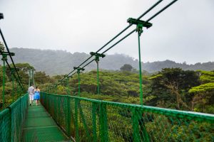 Engaged couple walking across the Selvatura Park Monteverde cloud forest in Costa Rica during their adventurous engagement session.