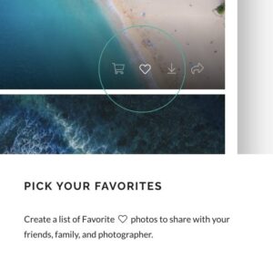 Heirloom wedding album for wedding clients.