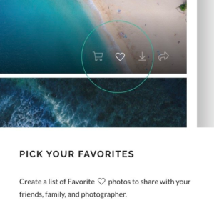 Heirloom wedding album for wedding clients.